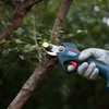 Bosch 06019K1021 ProPruner Akkus metszőolló 2x3.0Ah | Akkuval, töltővel