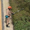 Makita Sövényvágó feltét 100cm
