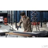 Bosch Akkus Fúró-Csavarozó GSR 18V-50 akku és töltő nélkül