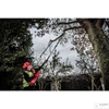 Milwaukee M18 FOPH-CSA  M18 FUEL láncfűrész adapter