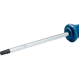 Bosch Csavarhúzó TX40X125
