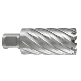 Abraboro magfúró mágnestalpas fúrógéphez Weldon D= 31, munkahossz: 50 mm