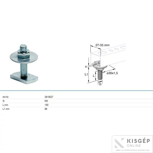 Tyco Kalapács fejű csavar M8x100 alátéttel 30x1,5mm EZP