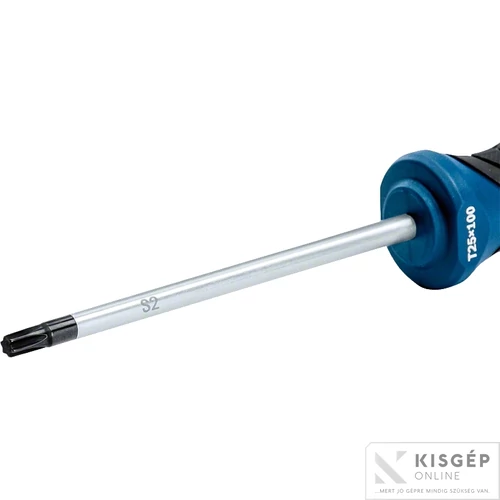 Bosch Csavarhúzó TX25X100