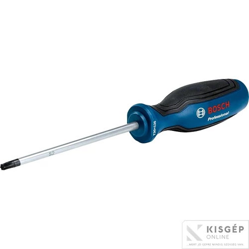 Bosch Csavarhúzó TX30X125