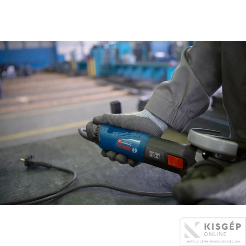 Bosch GWS 17-125 Sarokcsiszoló karton