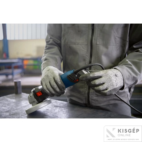 Bosch GWS 17-125 Sarokcsiszoló karton