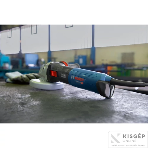 Bosch GWS 17-125 Sarokcsiszoló karton