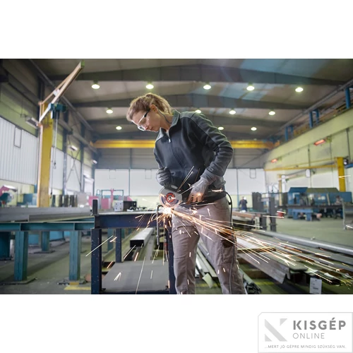 Bosch GWS 17-125 Sarokcsiszoló karton