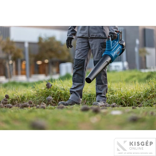 Bosch Kerti lombfúvó GBL 18V-750 | Akku és töltő nélkül