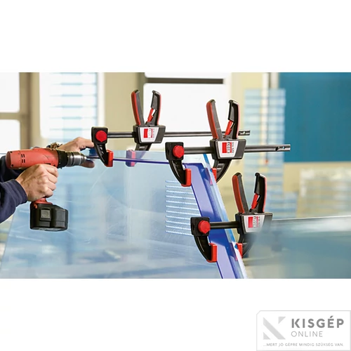 BESSEY Egykezes szorító 300/80