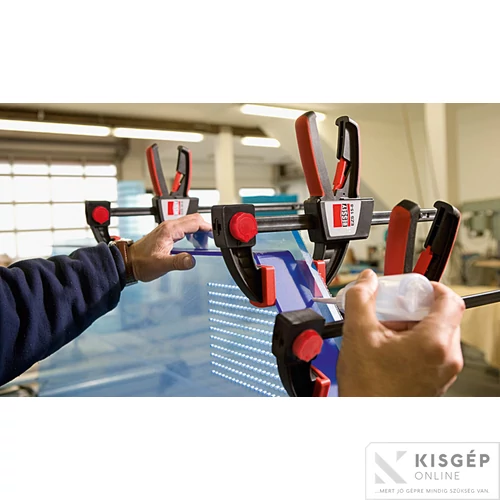 BESSEY Egykezes szorító 300/80