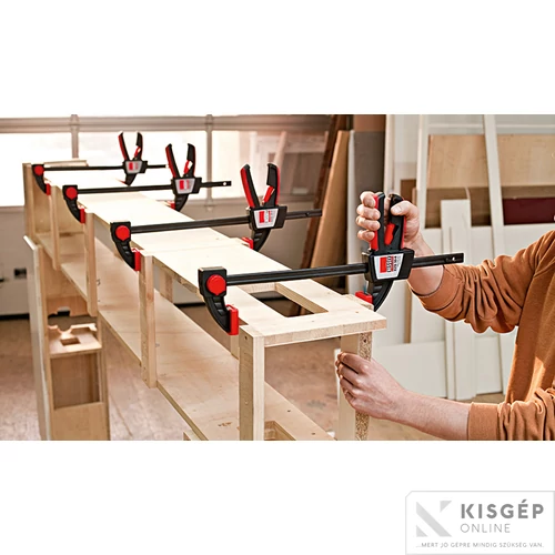 BESSEY Egykezes szorító 300/80