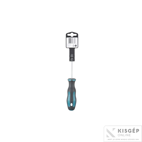 Makita csavarhúzó PZ2x100mm