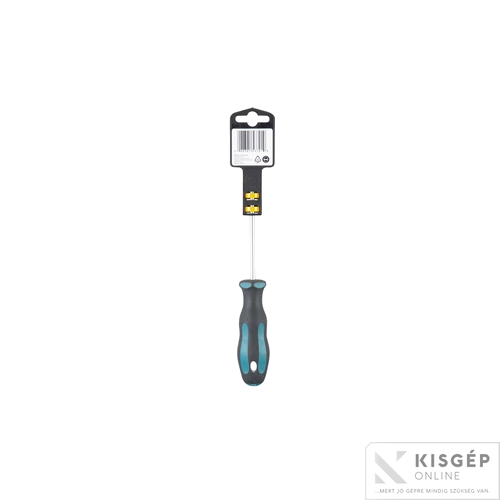 Makita csavarhúzó T10x100mm
