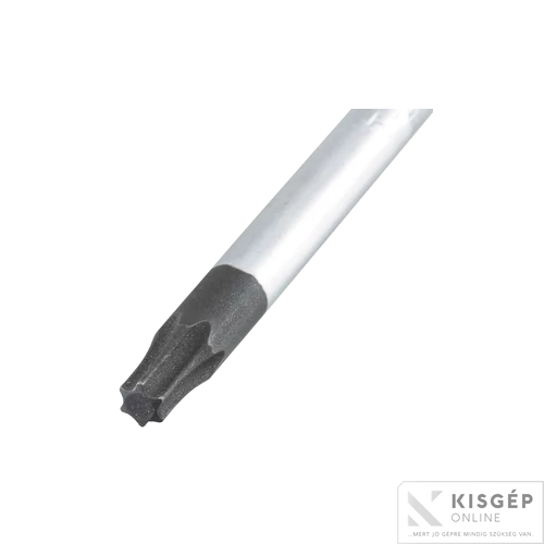 Makita csavarhúzó T20x100mm