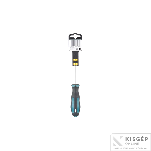Makita csavarhúzó T20x100mm