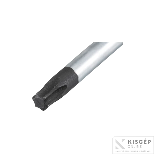 Makita csavarhúzó T30x100mm