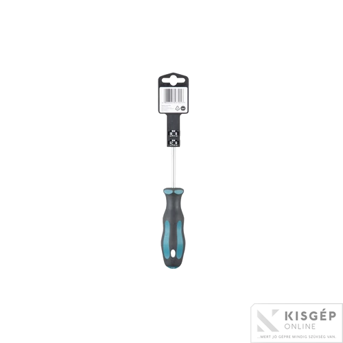 Makita csavarhúzó T30x100mm