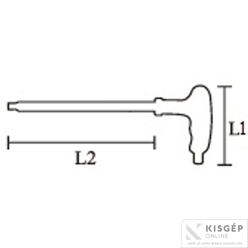 Z TORX kulcs kombinált TTH10x72/100  07H1755TTH10