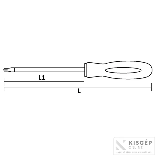 Z csavarhúzó furatos HANS TORX TH8   0450TH08
